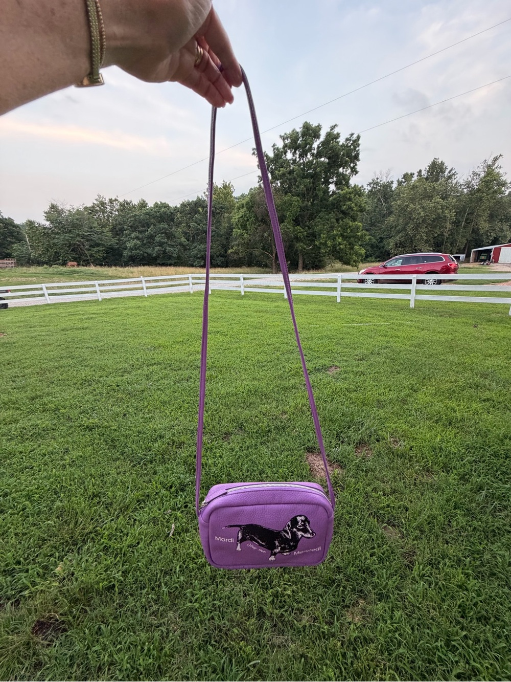 Purple Dachshund Crossbody Bag - 'Mardi Mercredi' - Picture 3 of 5
